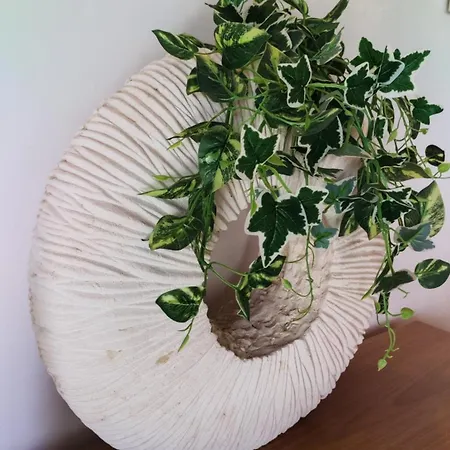 Retreat Carrapateira